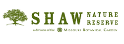 shaw